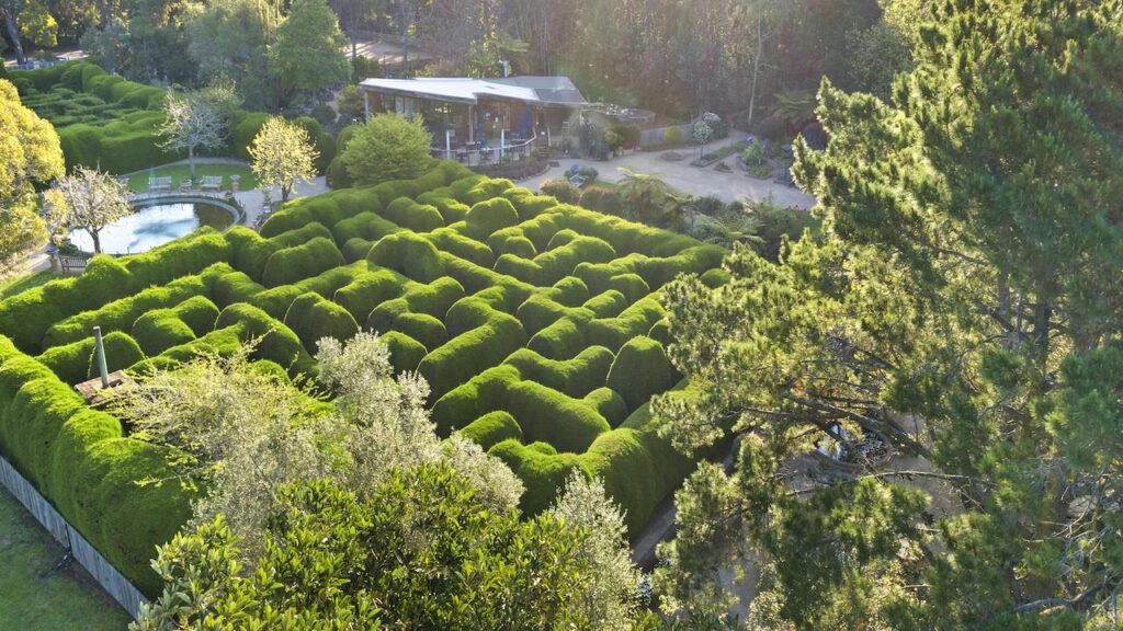 The famous Hedge Maze of Ashcombe Gardens - KKDay Things to do In Melbourne for the Family